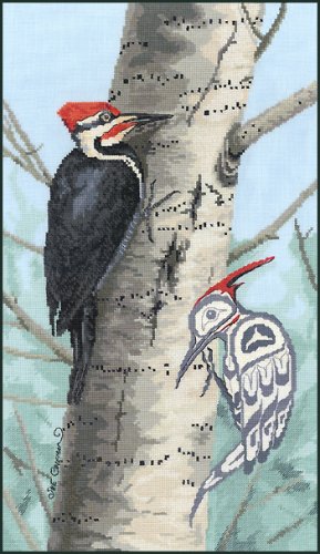 (image for) Woodpecker